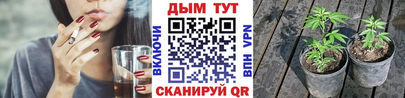Что такое Ермолино Гашиш  Кокаин  Мефедрон  Альфа ПВП  АМФЕТАМИН  Каннабис 