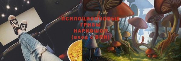 сатива Магас