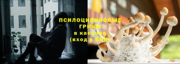 герыч Ельня