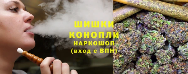 сатива Магас