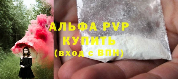сатива Магас